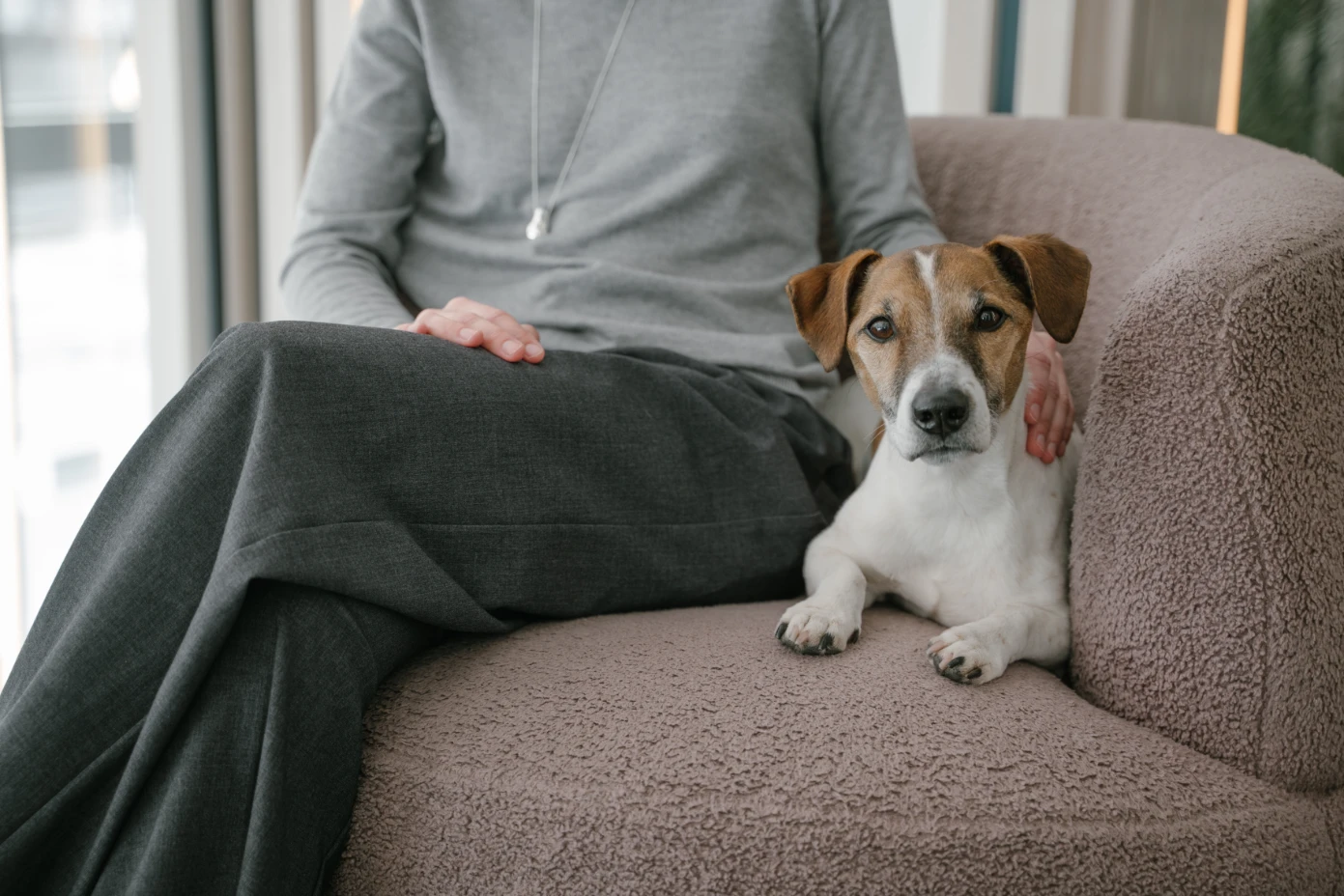 PetLounge Portal